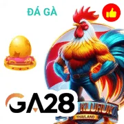 dn88 Game 09